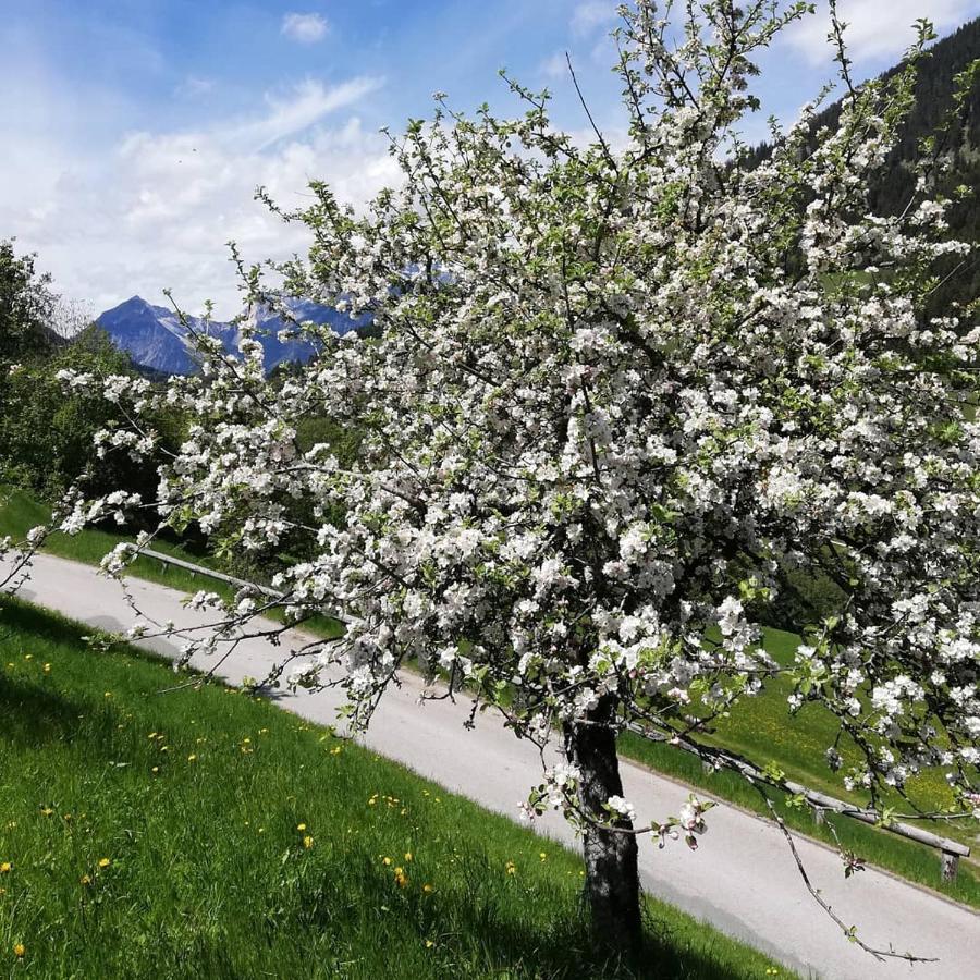 Appartements Kolberhof Alpbach Εξωτερικό φωτογραφία
