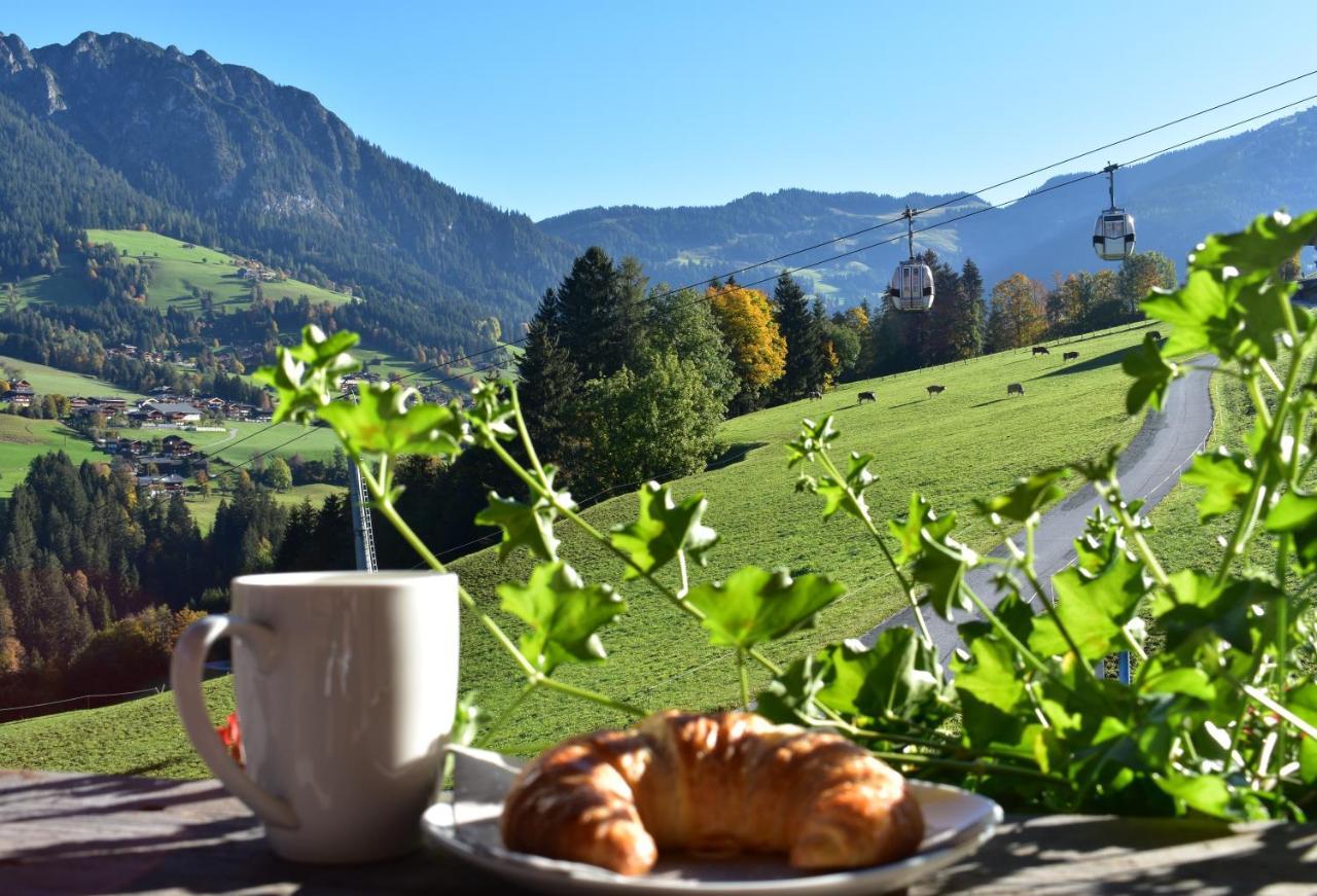 Appartements Kolberhof Alpbach Εξωτερικό φωτογραφία