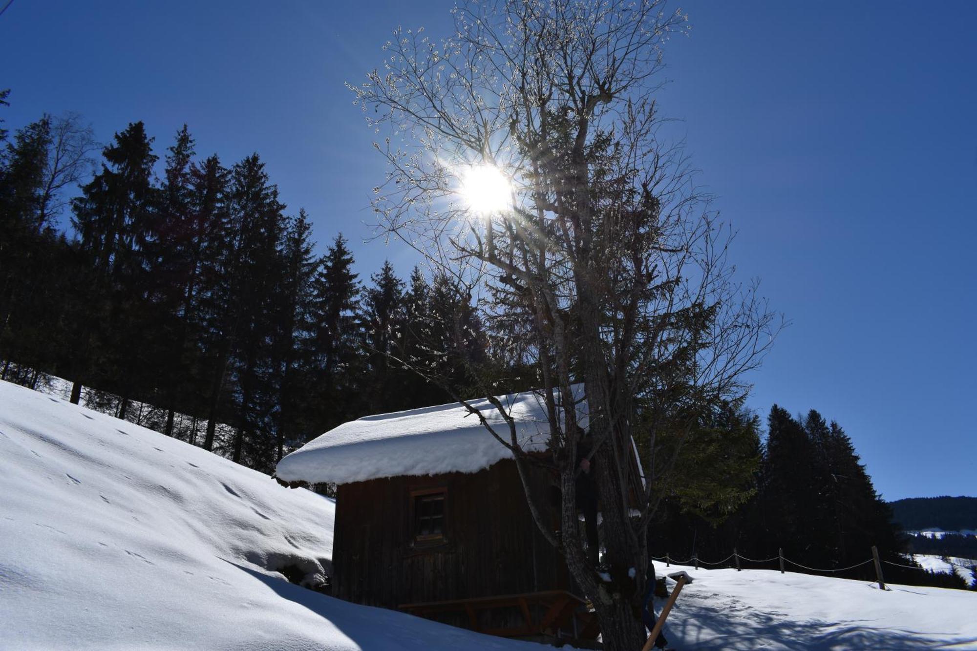 Appartements Kolberhof Alpbach Εξωτερικό φωτογραφία