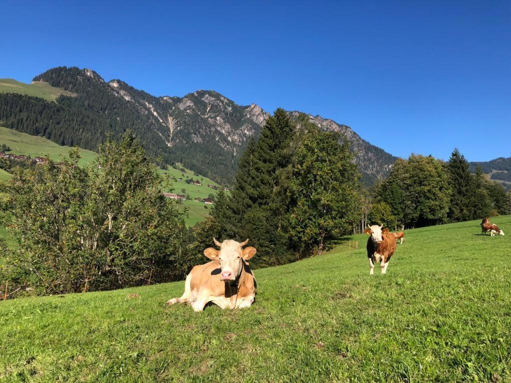 Appartements Kolberhof Alpbach Εξωτερικό φωτογραφία